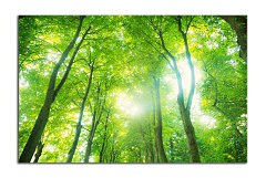 Obraz na stenu ZS - bez pomeru strán